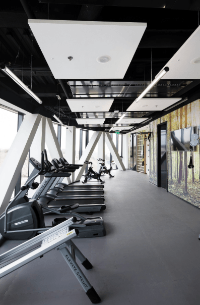 Strip office gym huge
